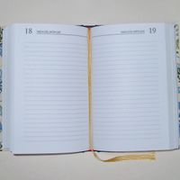 Diary - Agenda 2